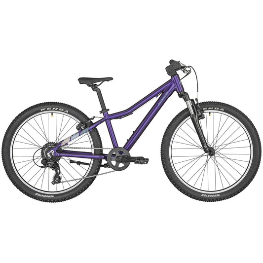 Bergamont Revox 24 "Purple