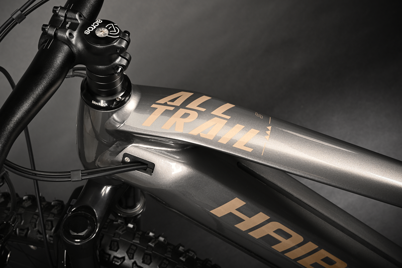 Haibike Alltrail 5 29 "Titan / Caramel