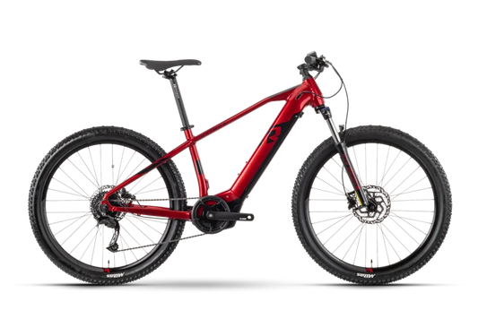 Raymon Hardray i 4.0