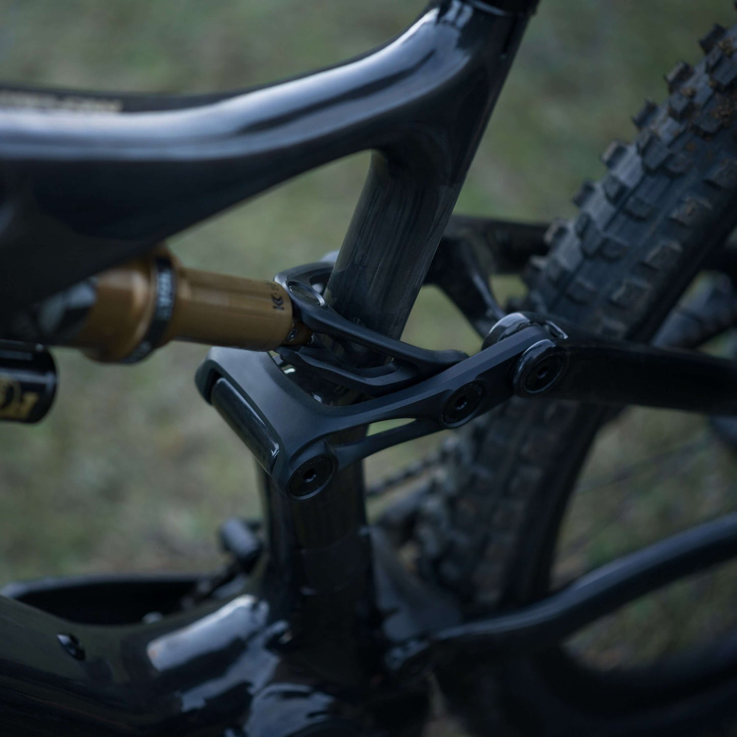 AMFLOW PL Carbon (800WH)