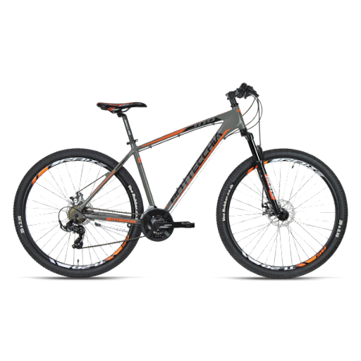 Bottecchia 109 TY500 Disk Mechanic 21S 29